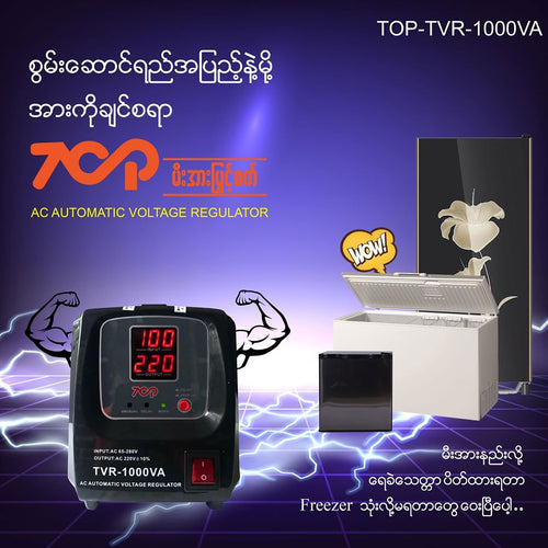 Treasure Regulator TVR1000VA